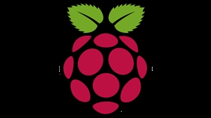 Some Tips for the New Punnet of Picademics