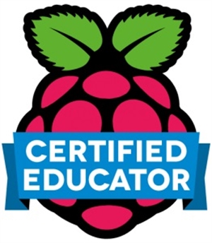 Some Tips for the New Punnet of Picademics