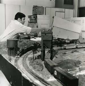 Some Tips for the New Punnet of Picademics