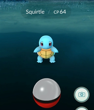 Some Tips for the New Punnet of Picademics